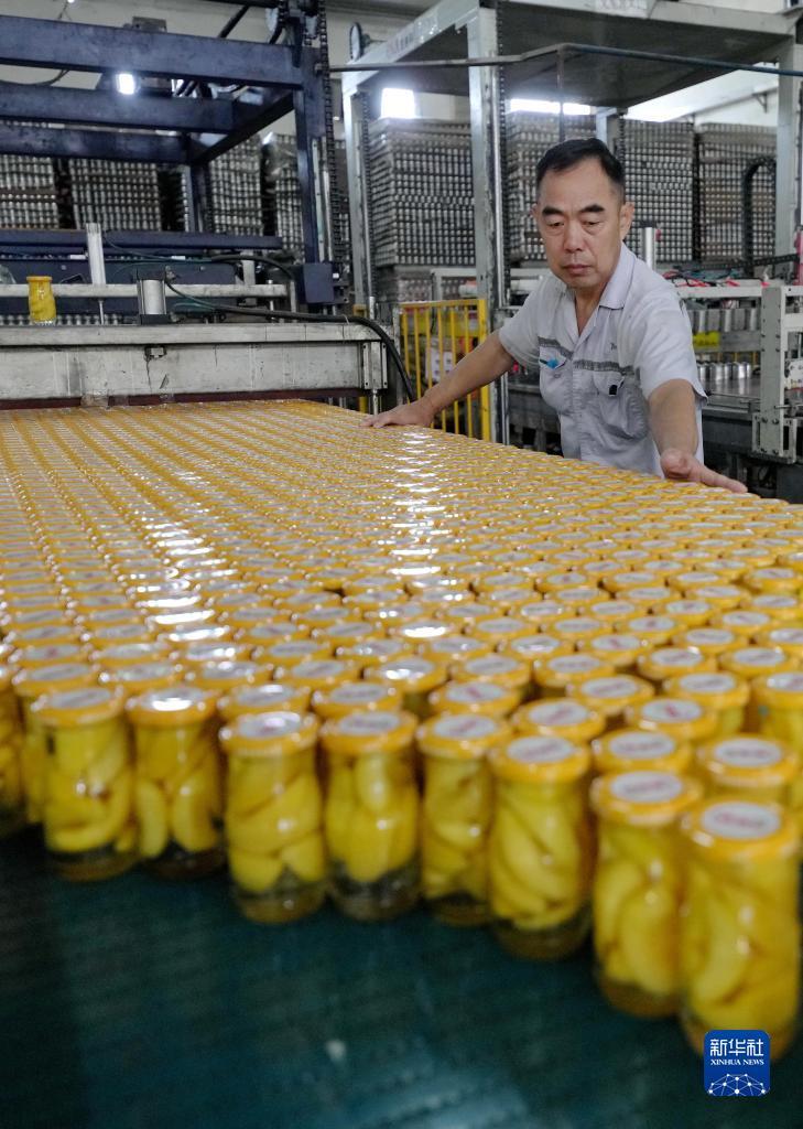 37游戏平台